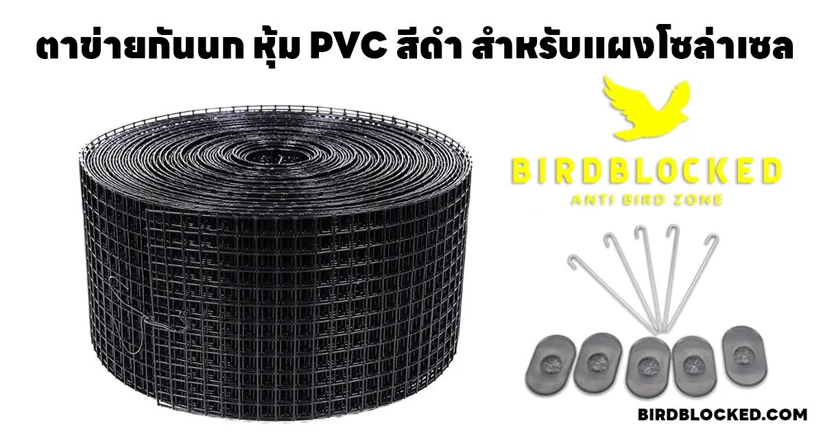 ตาข่ายกันนก หุ้ม PVC สีดำ สำหรับแผงโซล่าเซล