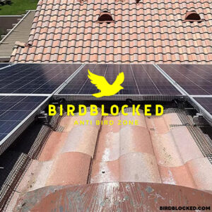 ตาข่ายกันนก หุ้ม PVC สีดำ สำหรับแผงโซล่าเซล Bird Barrier Solar Panel Guard Fence