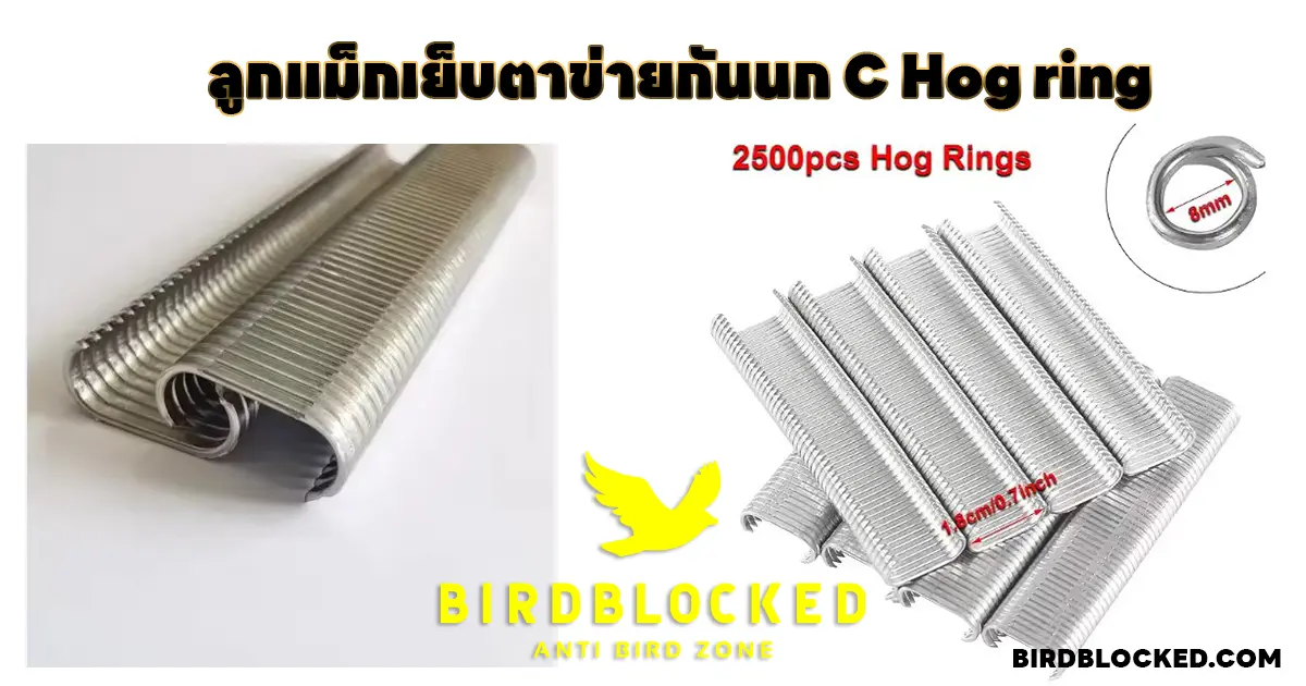 ลูกแม็กเย็บตาข่ายกันนก C Hog ring