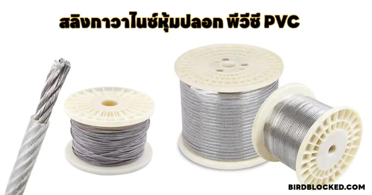 สลิงกาวาไนซ์หุ้มปลอก พีวีซี PVC
